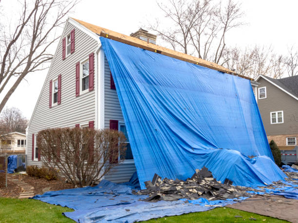 Best Estate Cleanout  in Parchment, MI